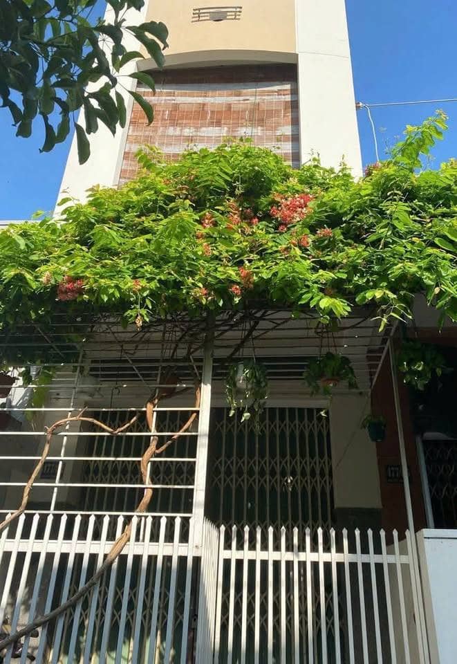 BÁN NHÀ 3 MÊ ĐƯỜNG NỘI BỘ NGUYỄN THỊ MINH KHAI TRUNG TÂM QUY NHƠN